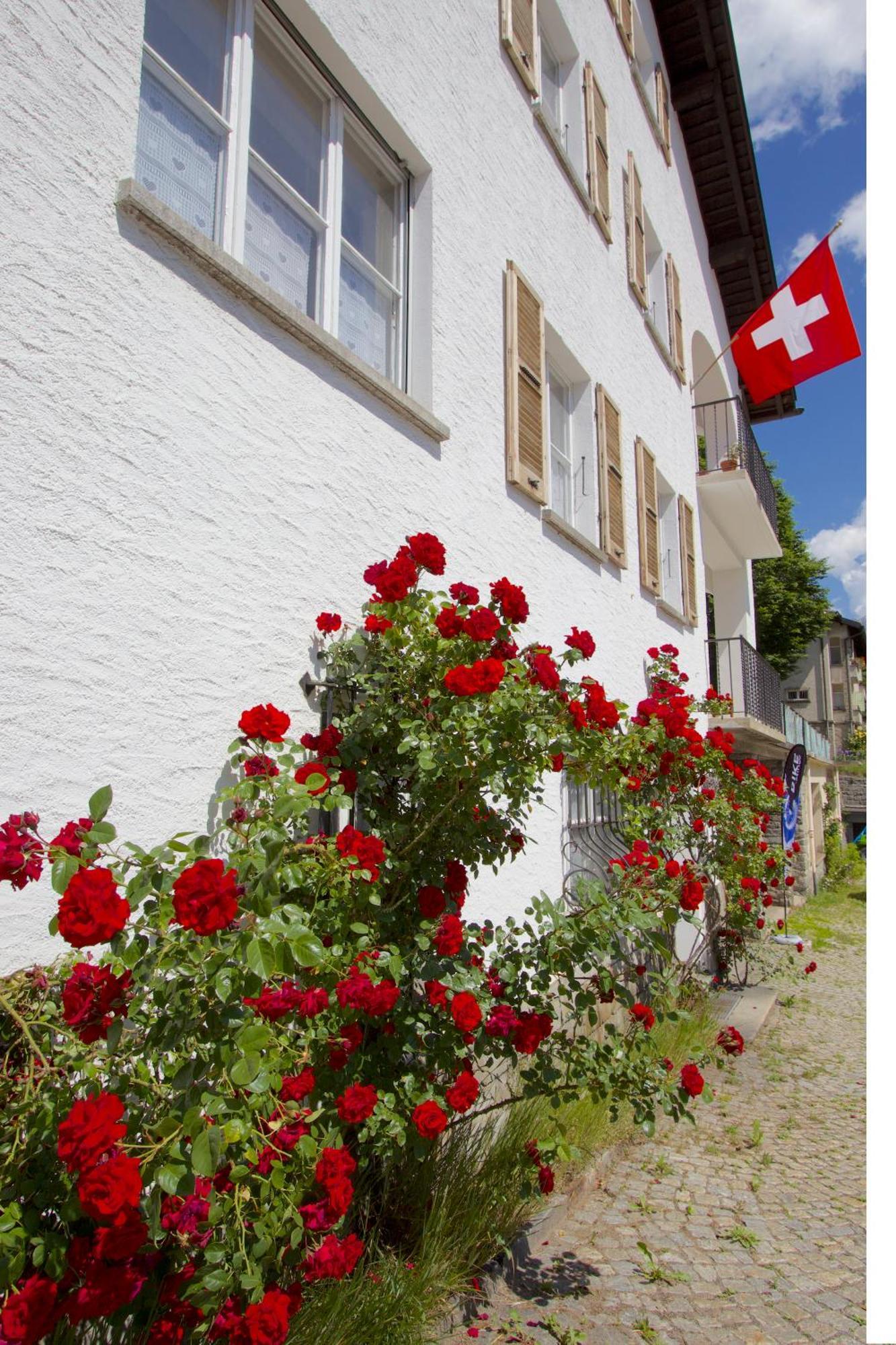 Chalet Cuore Delle Alpi Airolo Eksteriør bilde